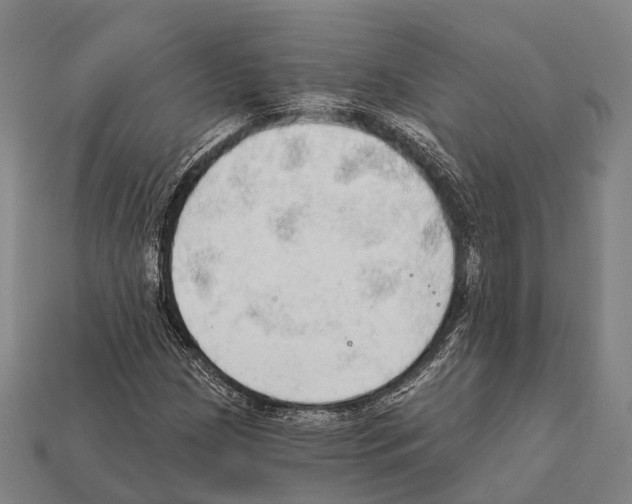 X0000111911209200909071149