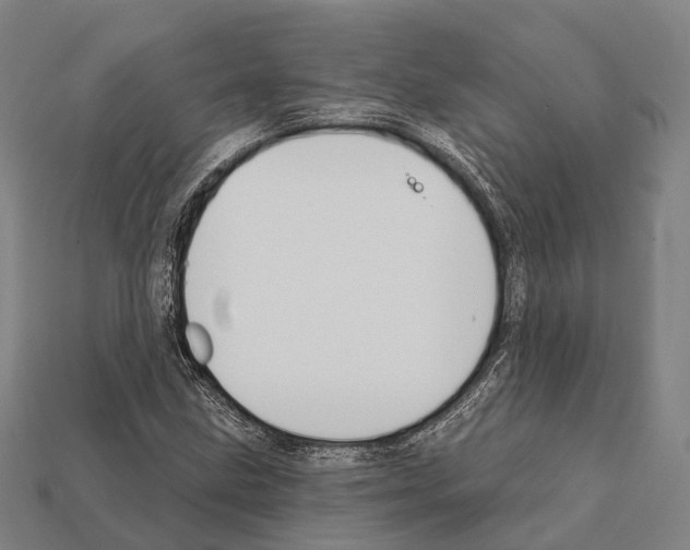 X0000111911211200909071149