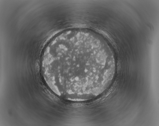 X0000111911212200909071149