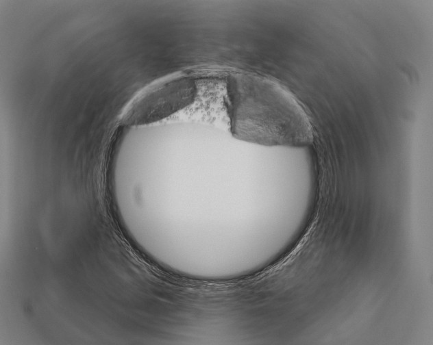 X0000111911213200909071149