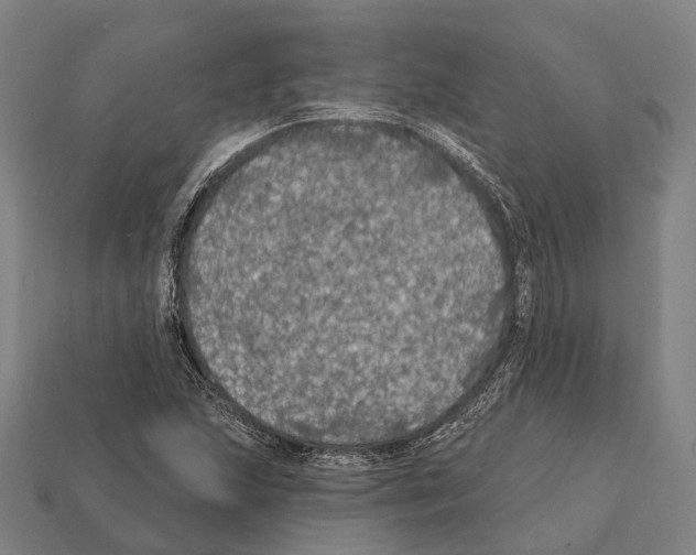X0000111911215200909071149