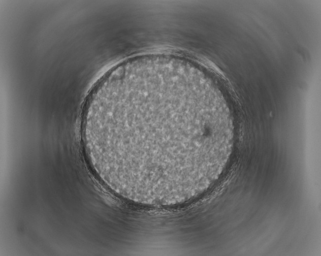 X0000111911216200909071150