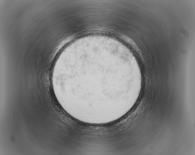 X0000111911218200909071150