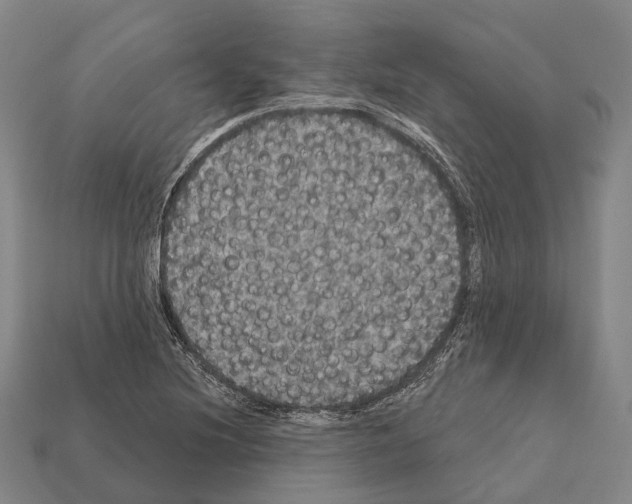 X0000111911220200909071150