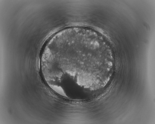 X0000111911221200909071150