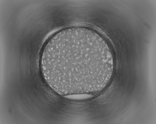 X0000111911222200909071150