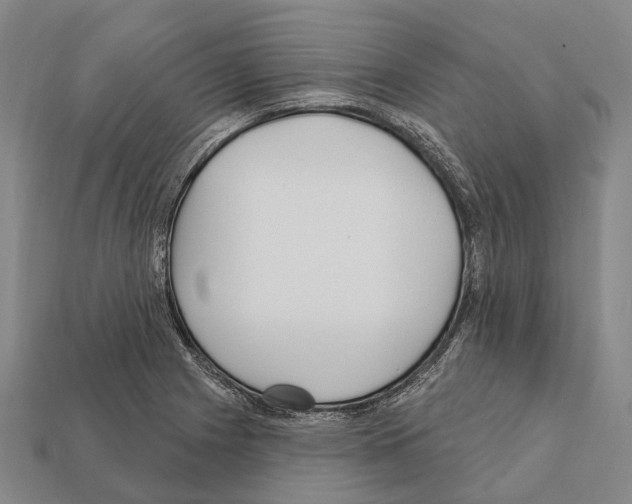 X0000111911225200909071150