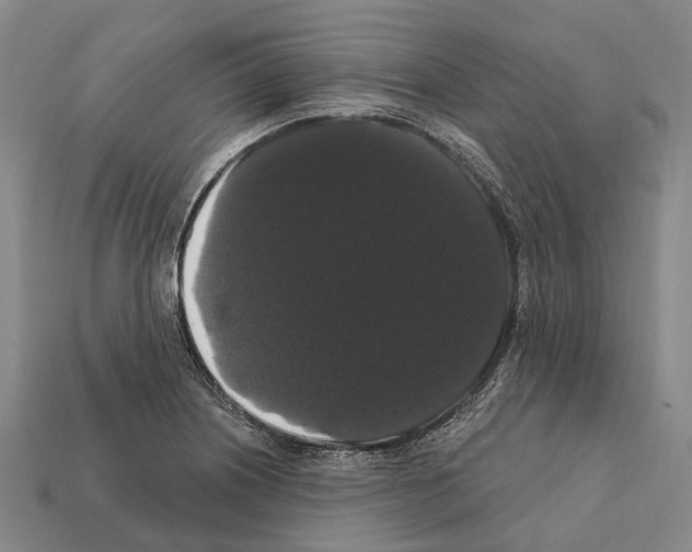 X0000111911226200909071150