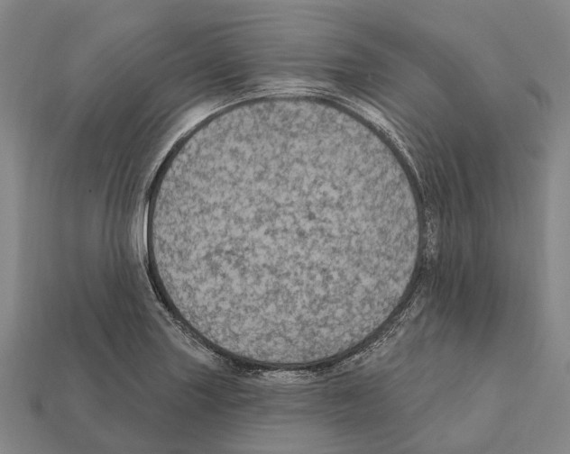 X0000111911227200909071150