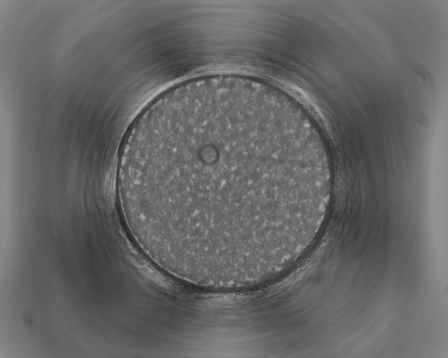 X0000111911228200909071150