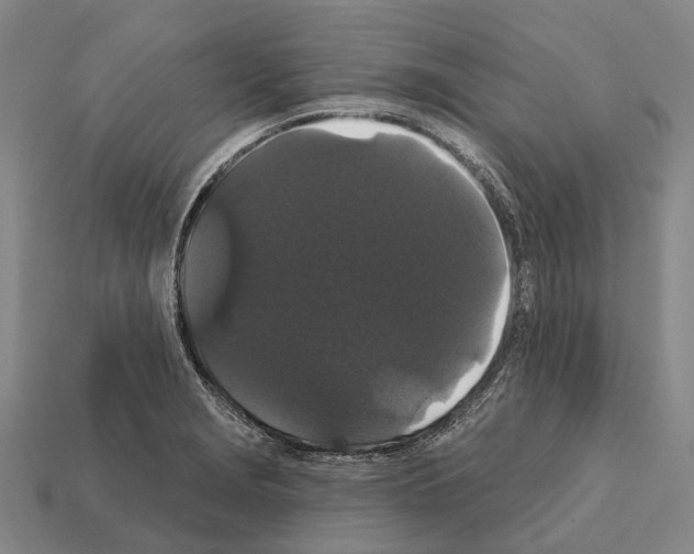 X0000111911229200909071150