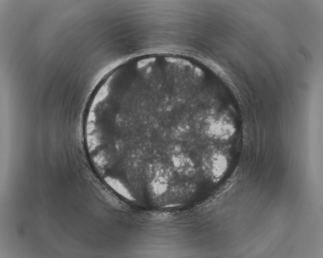 X0000111911230200909071150