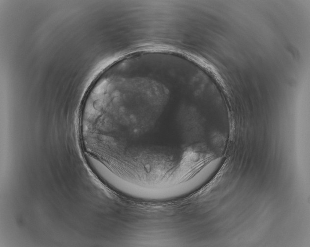 X0000111911231200909071150
