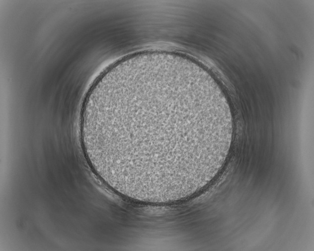 X0000111911232200909071150