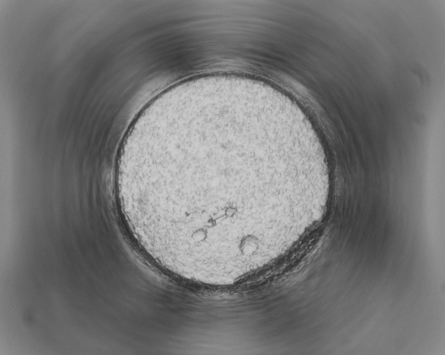 X0000111911234200909071150