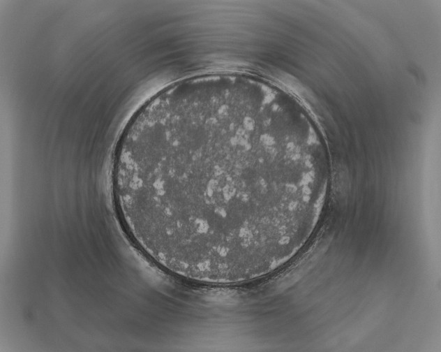 X0000111911235200909071150