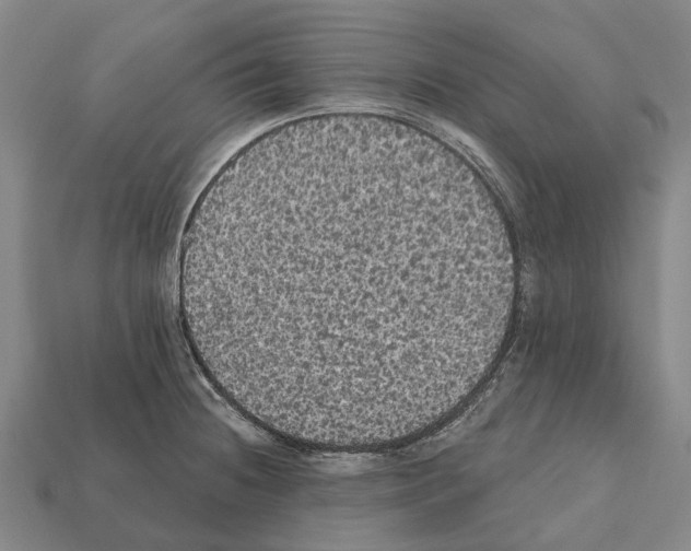 X0000111911236200909071150