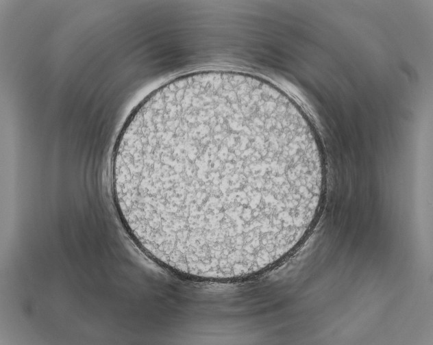 X0000111911238200909071150