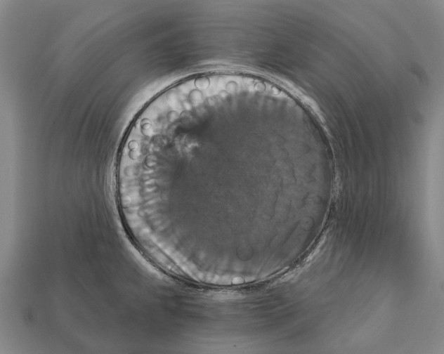 X0000111911239200909071150