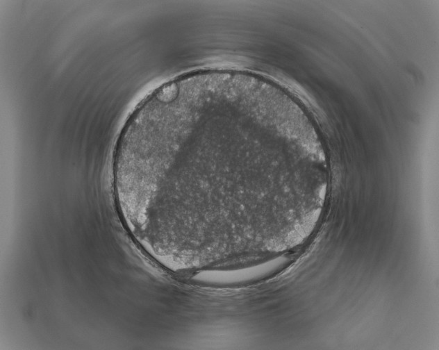 X0000111911240200909071150