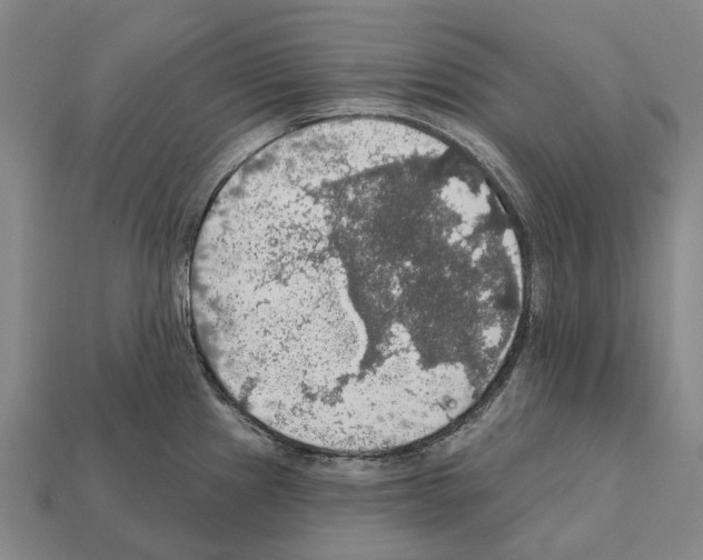 X0000111911241200909071150
