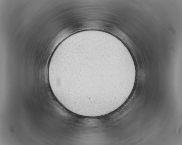 X0000111911242200909071150