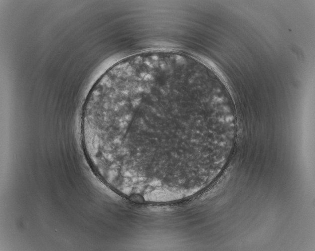 X0000111911243200909071150