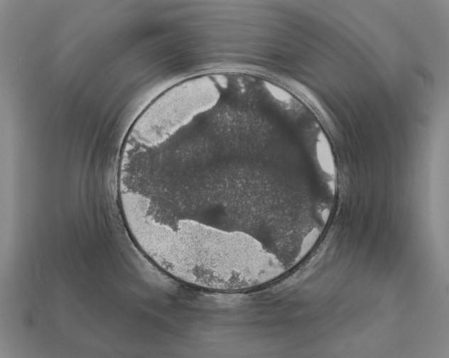 X0000111911244200909071150