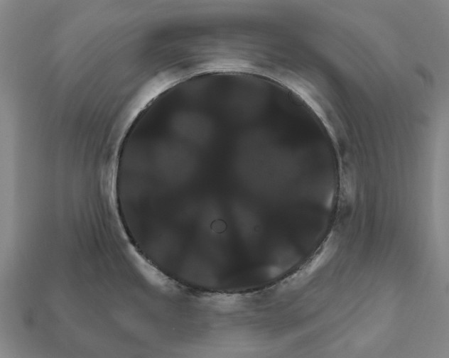 X0000111911245200909071150