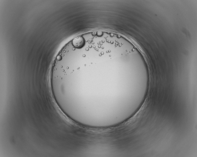 X0000111911246200909071150