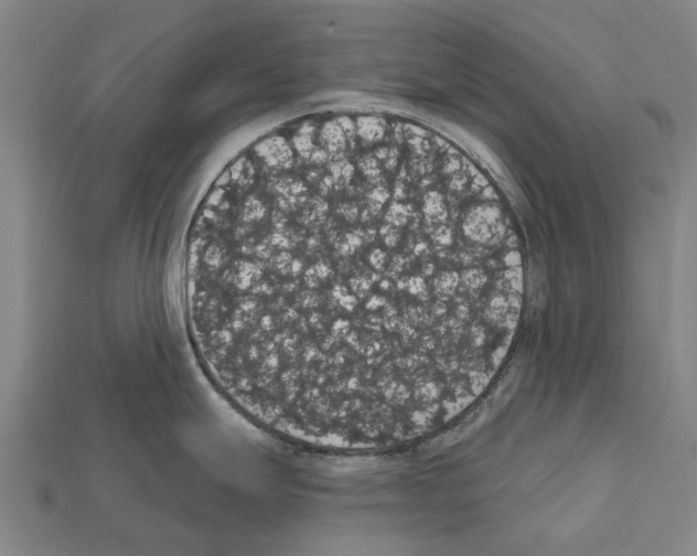 X0000111911247200909071150