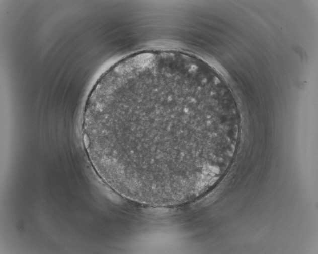 X0000111911248200909071150
