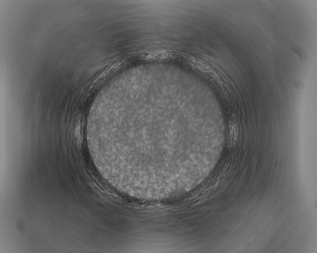 X0000111911250200909071149