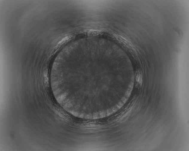 X0000111911252200909071149