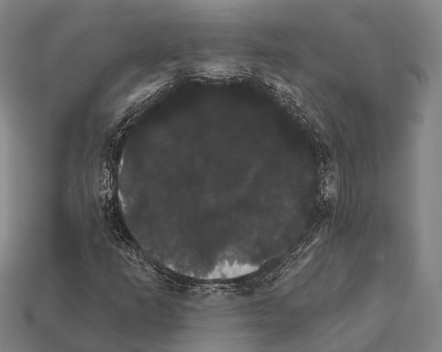 X0000111911253200909071149