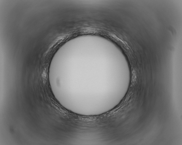 X0000111911254200909071149