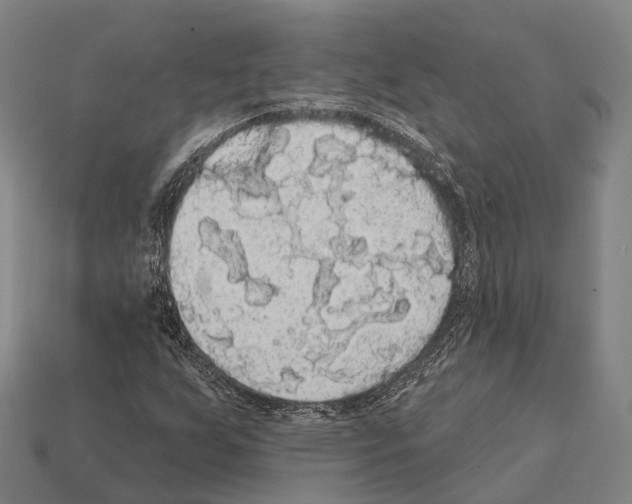 X0000111911255200909071149