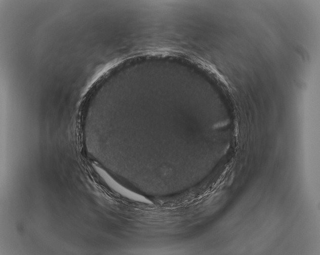 X0000111911256200909071149