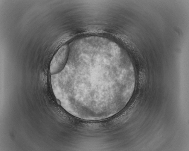 X0000111911257200909071149