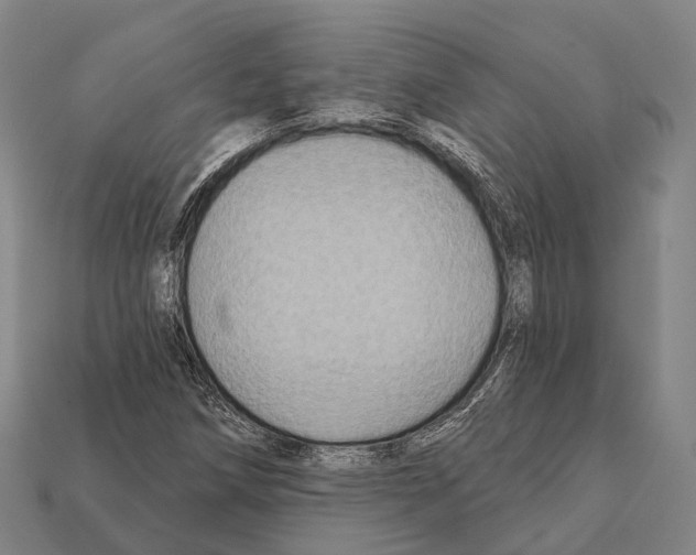X0000111911258200909071149
