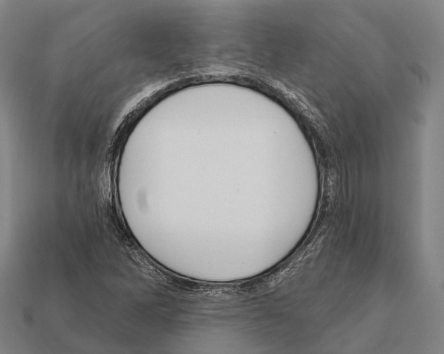 X0000111911262200909071149