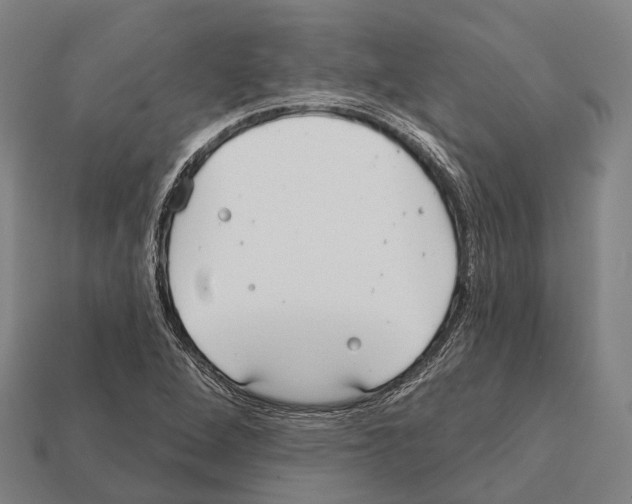 X0000111911264200909071149