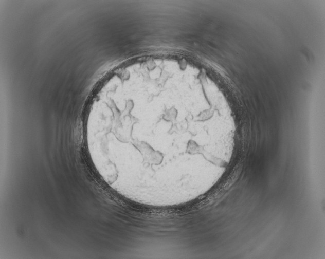 X0000111911267200909071149