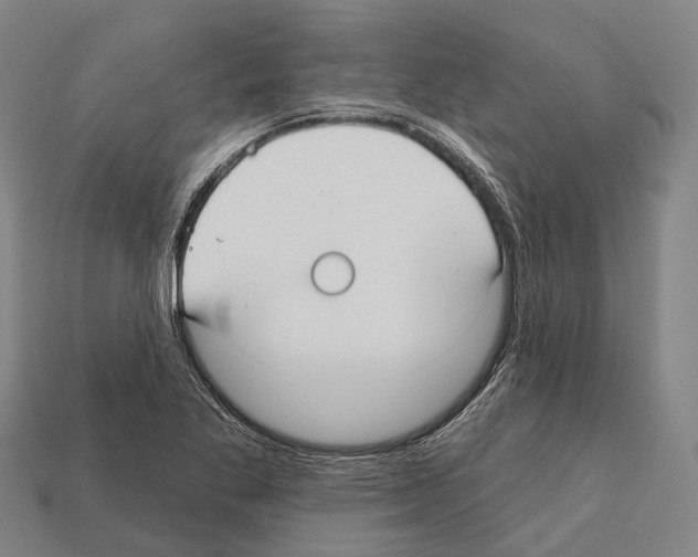X0000111911269200909071149