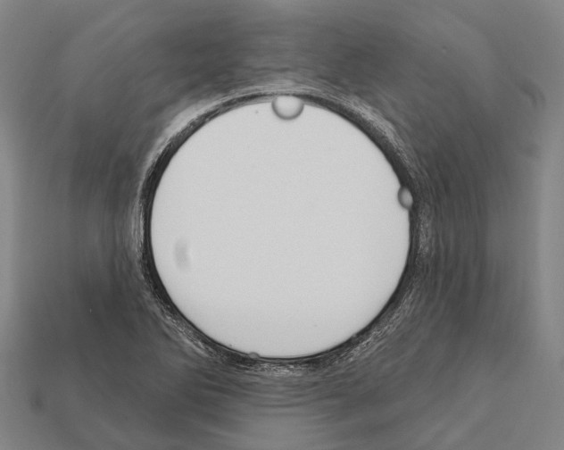 X0000111911270200909071149