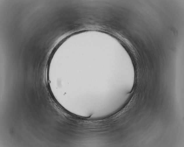 X0000111911272200909071149