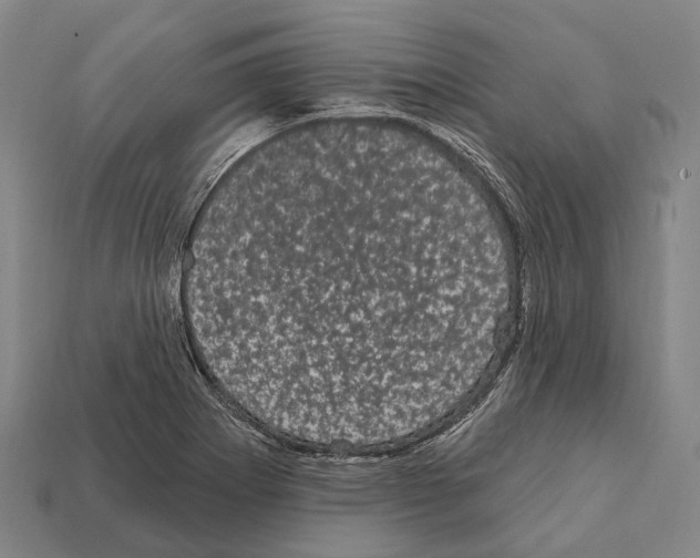 X0000111911273200909071149