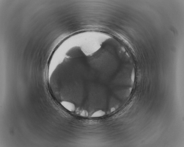 X0000111911275200909071149