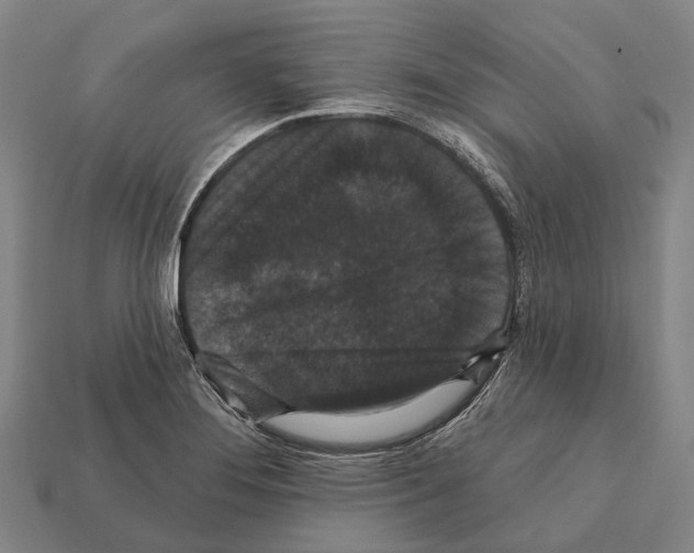 X0000111911276200909071149