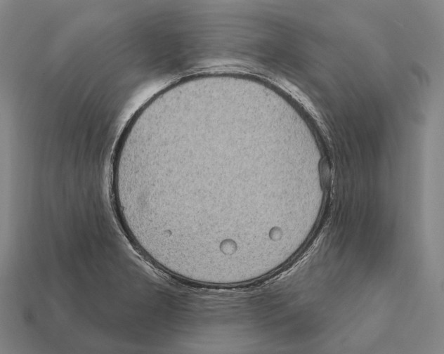 X0000111911277200909071149